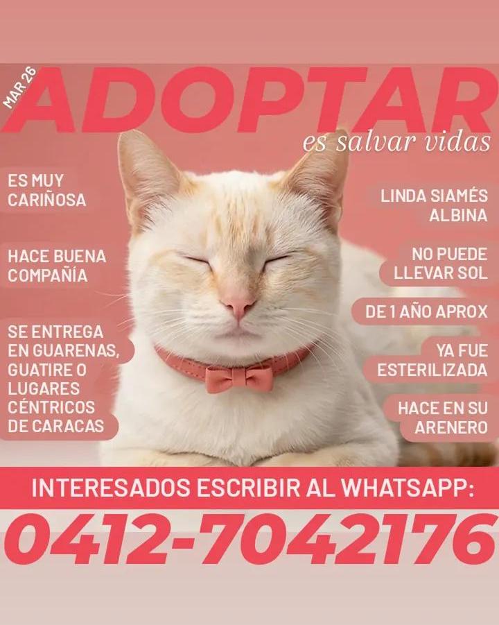 Adopta. Salva una vida.