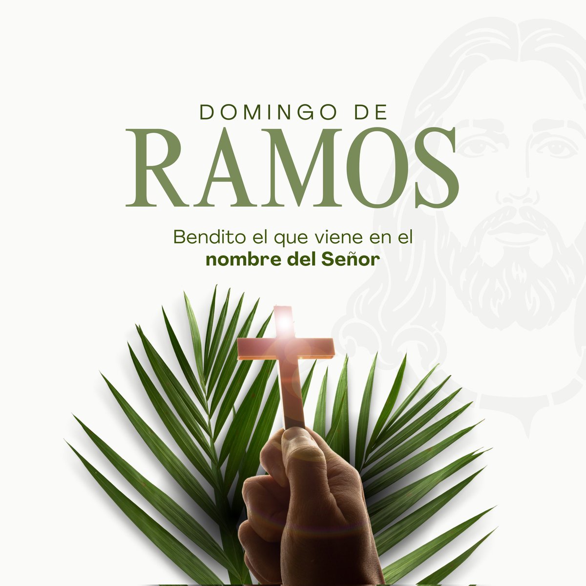 Acción Democrática tweet media