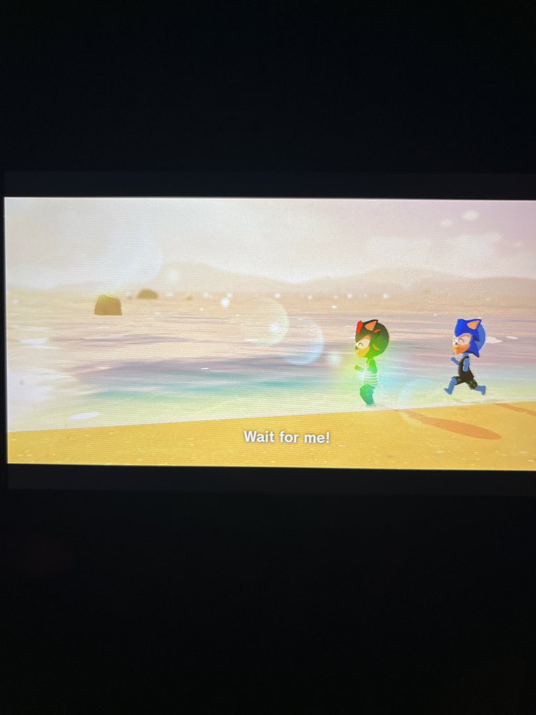 JustFireWolf's tweet photo. Even the game knows they gay as hell I can’t make this shit up lmaoo #sonadow #shadic #shadonic https://t.co/NLopuPcmcQ