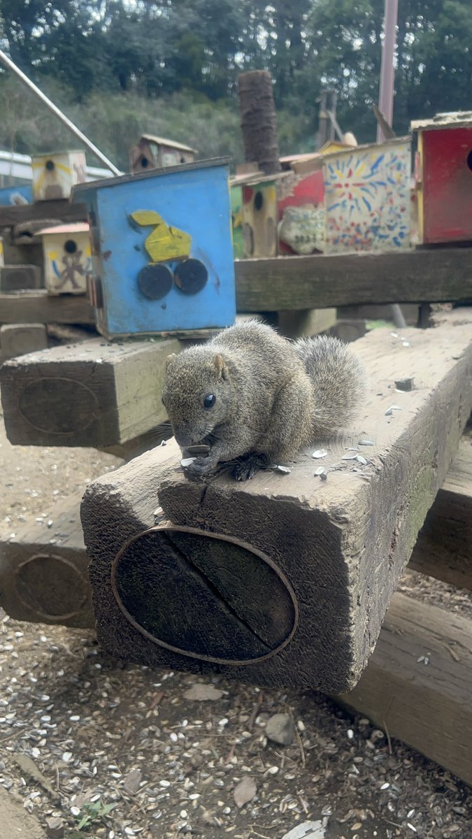 あーちょこ tweet media