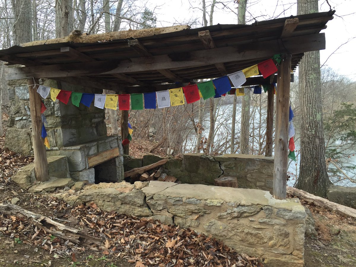 Adam Rossi tweet media