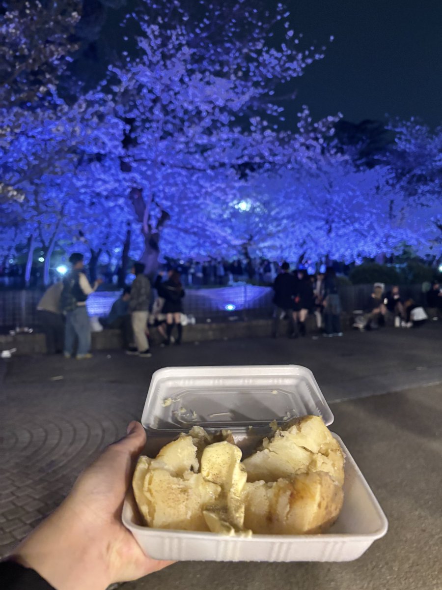 ねこ🫠 tweet media