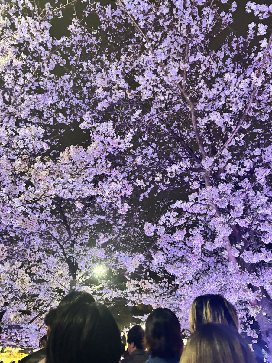 ねこ🫠 tweet media