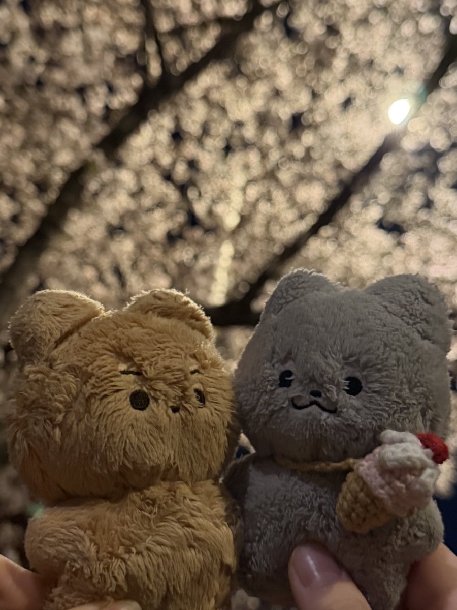 주요연 tweet media