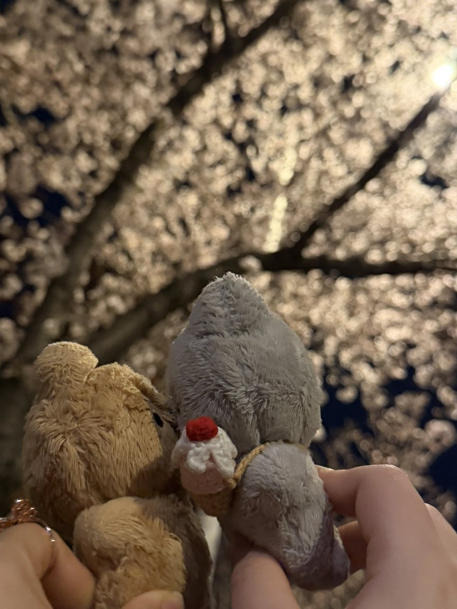 주요연 tweet media