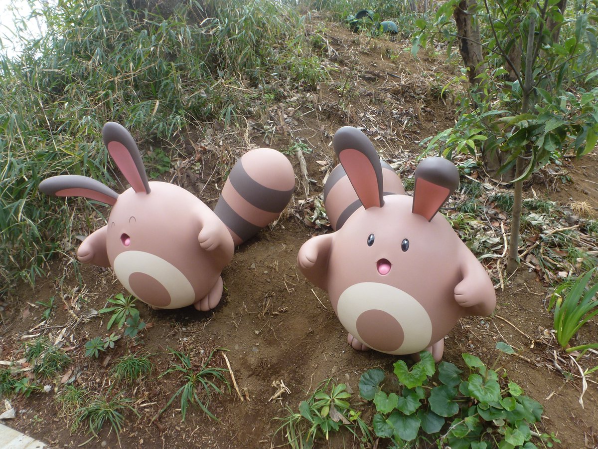 すめし tweet media