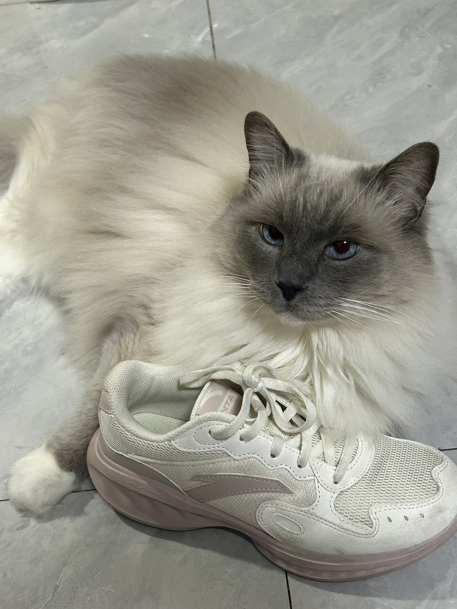 能量🌧️ tweet media