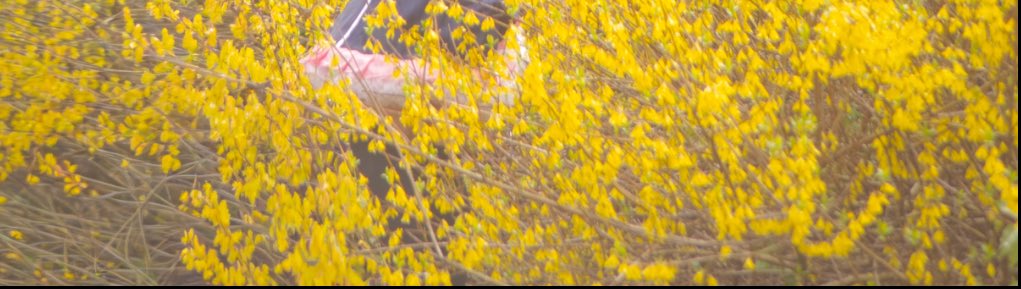 桜ハンターちぇり🌸 tweet media