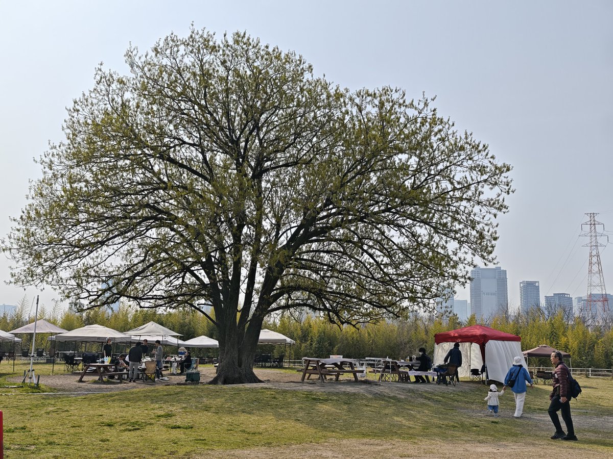 きぁら tweet media