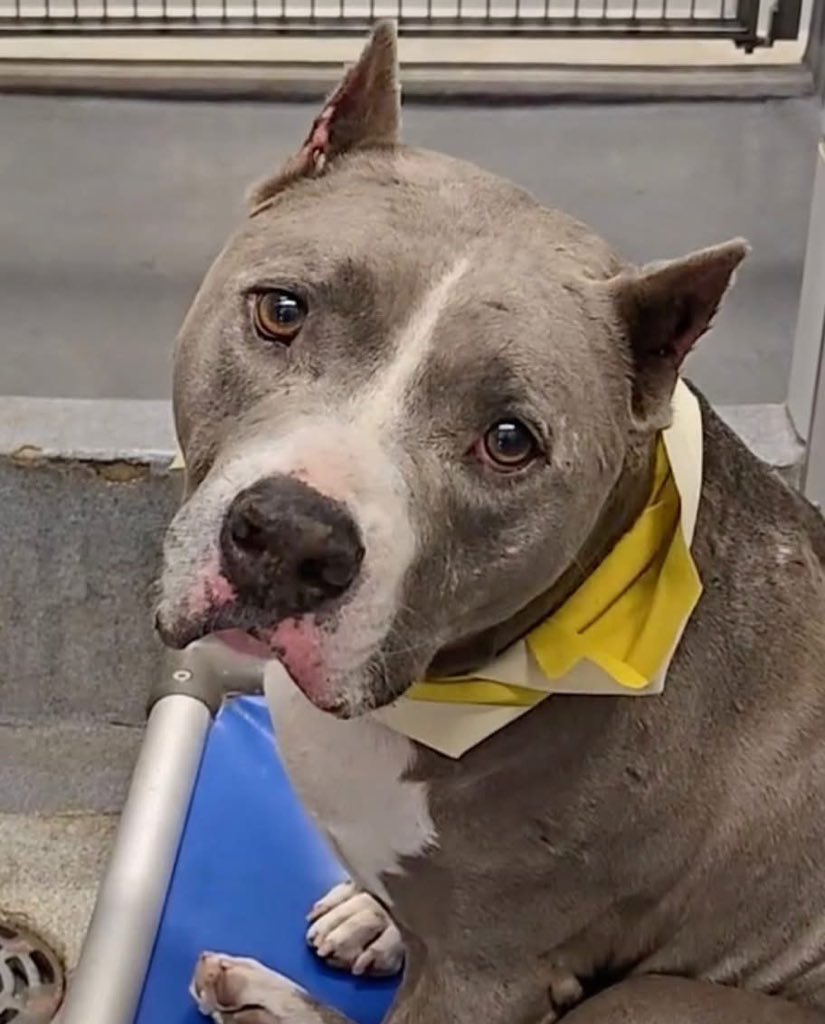 Aurora ⸆⸉ misses Liam ❯❯❯❯ tweet media