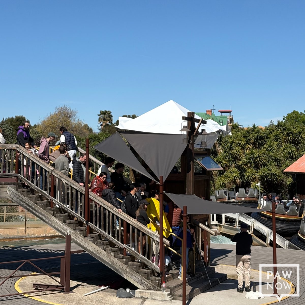 PAW Now 🌐 tweet media