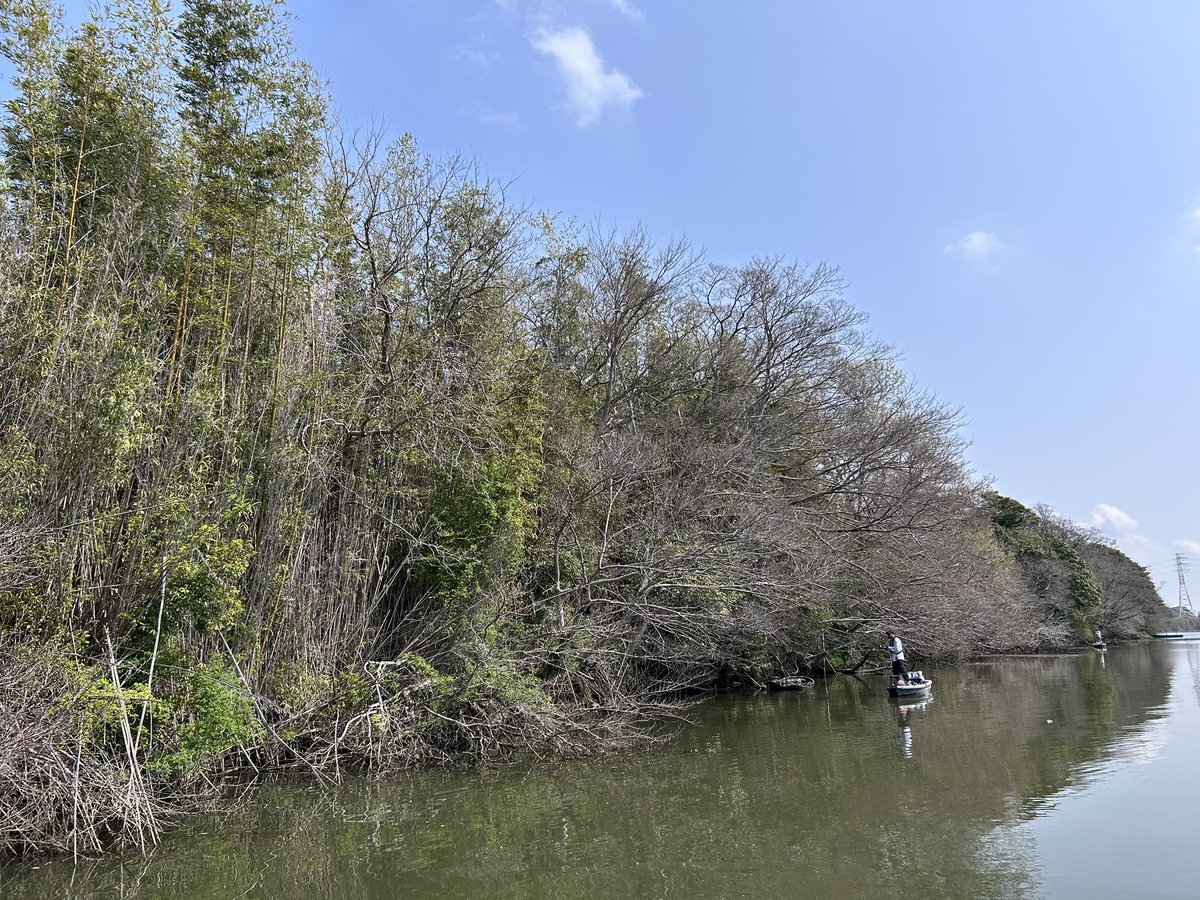 佐々木徹Basser編集長 tweet media