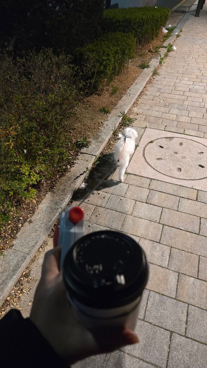 ㅎiㄹㄹiㅇ tweet media