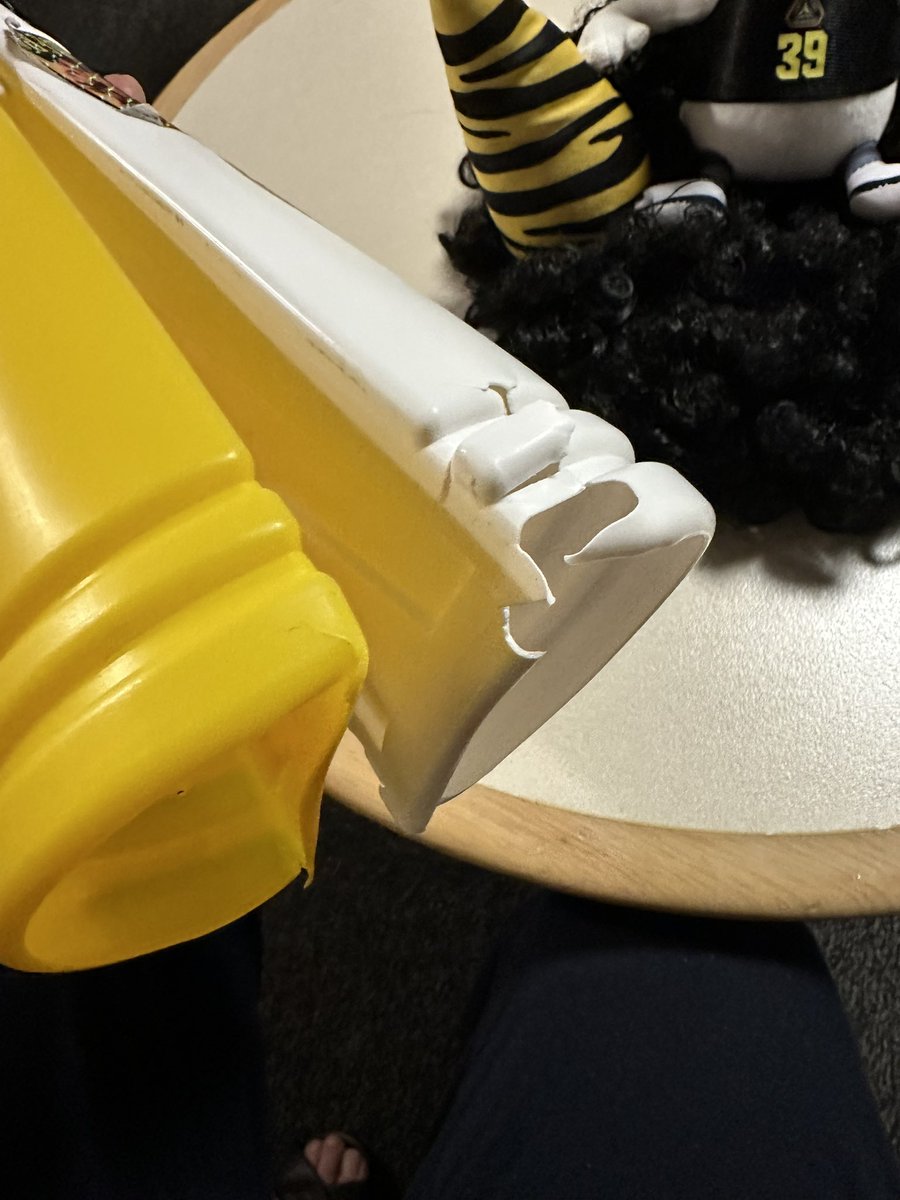 群馬のかみなりさま(確実に仕留めなければならない⚡️) tweet media