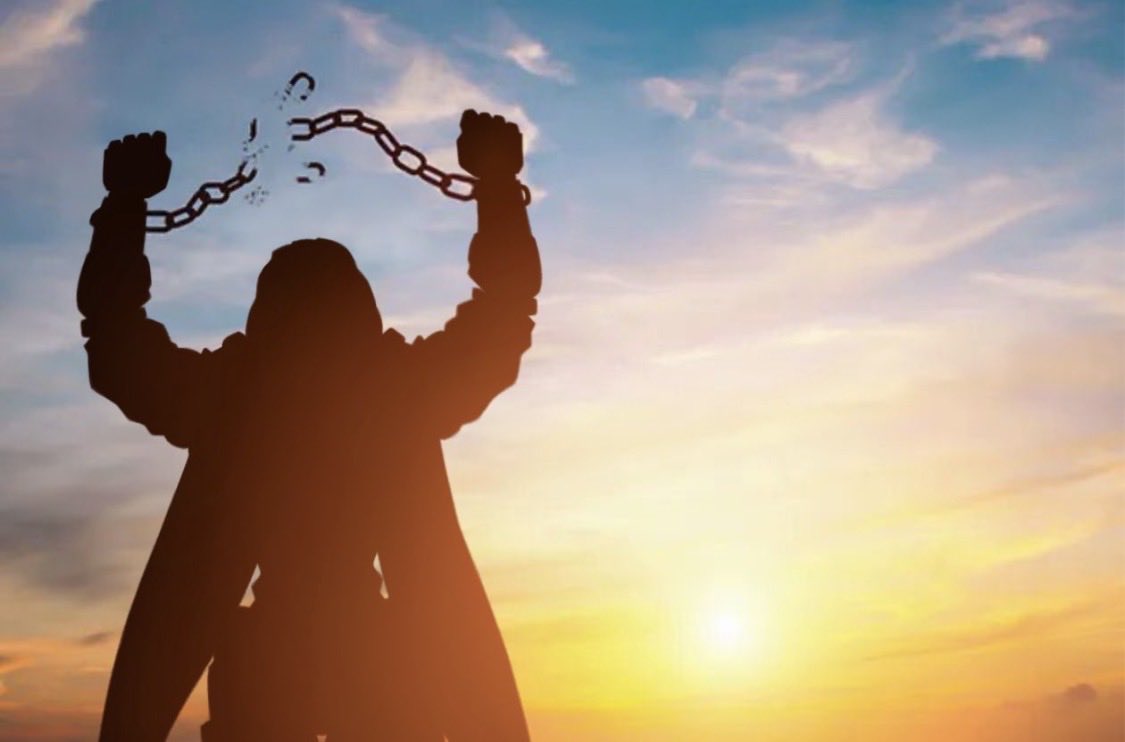 LALADOOM tweet media