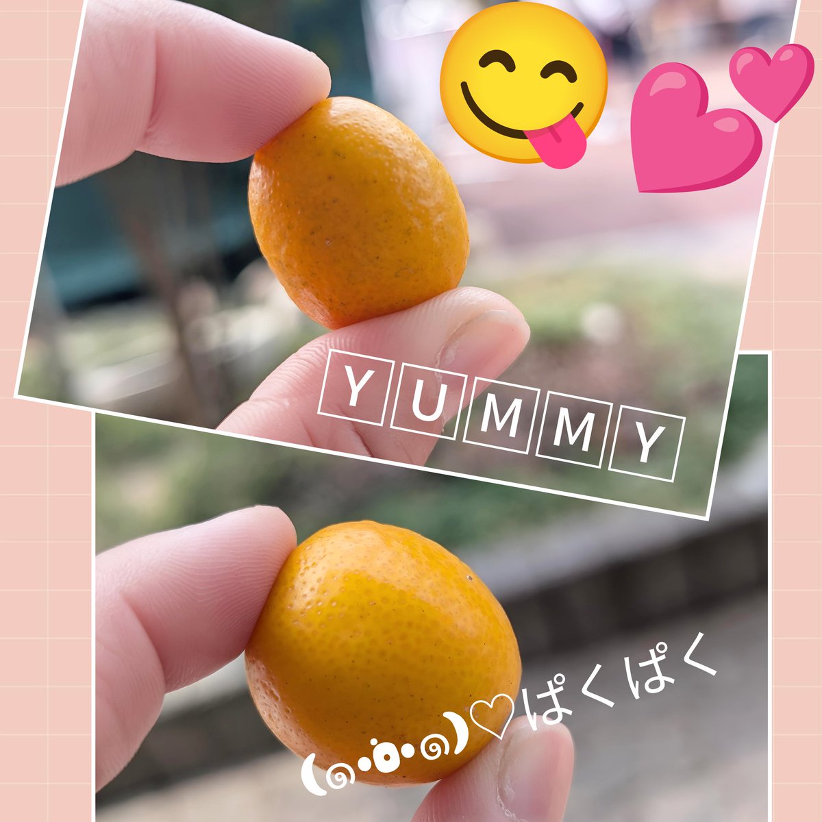 ayumi💋 tweet media