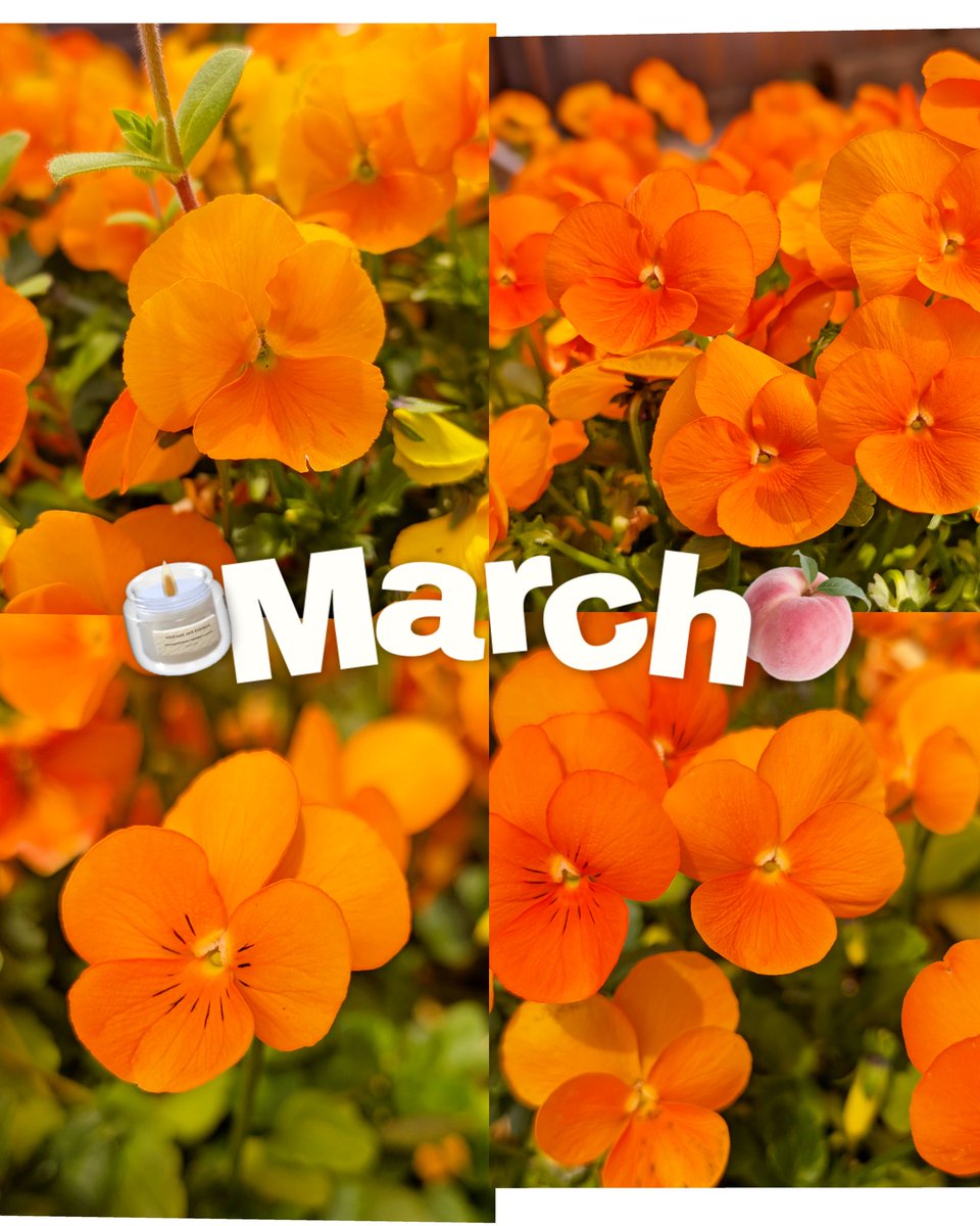 ayumi💋 tweet media