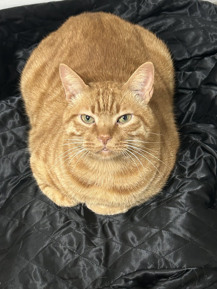 能量🌧️ tweet media