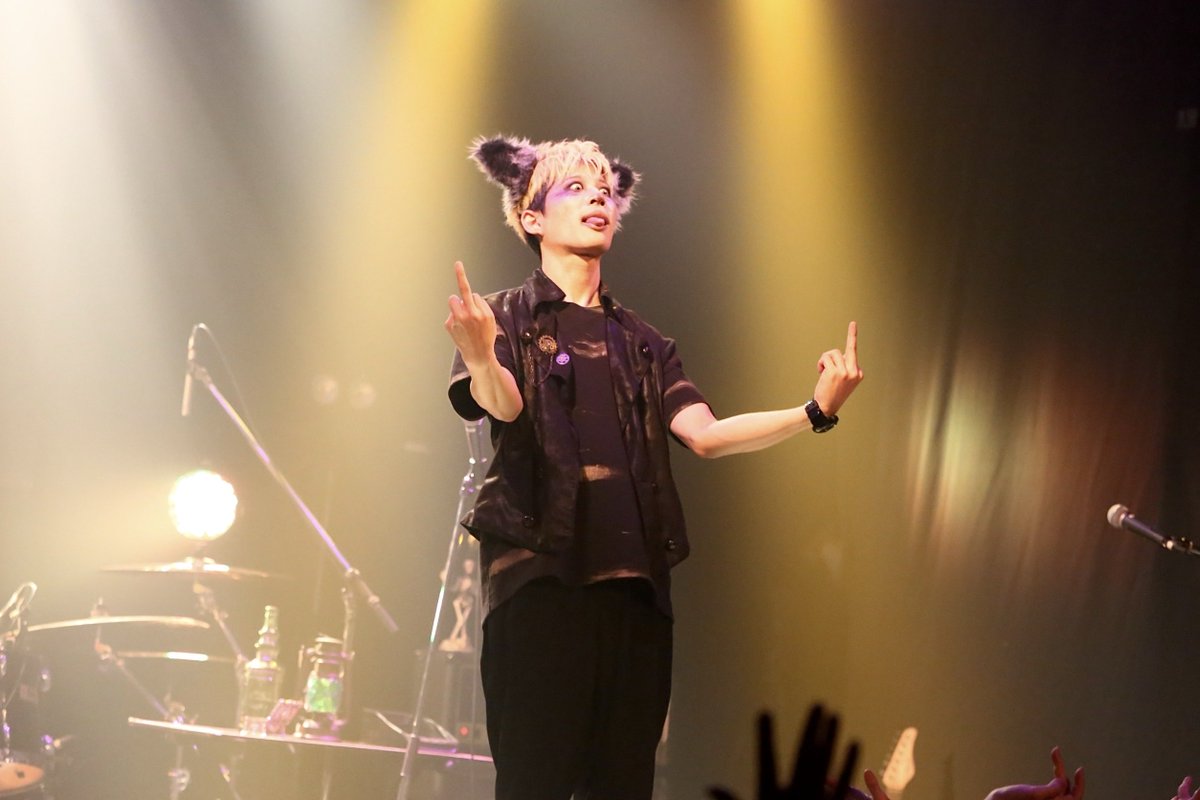 ダイウルフ tweet media