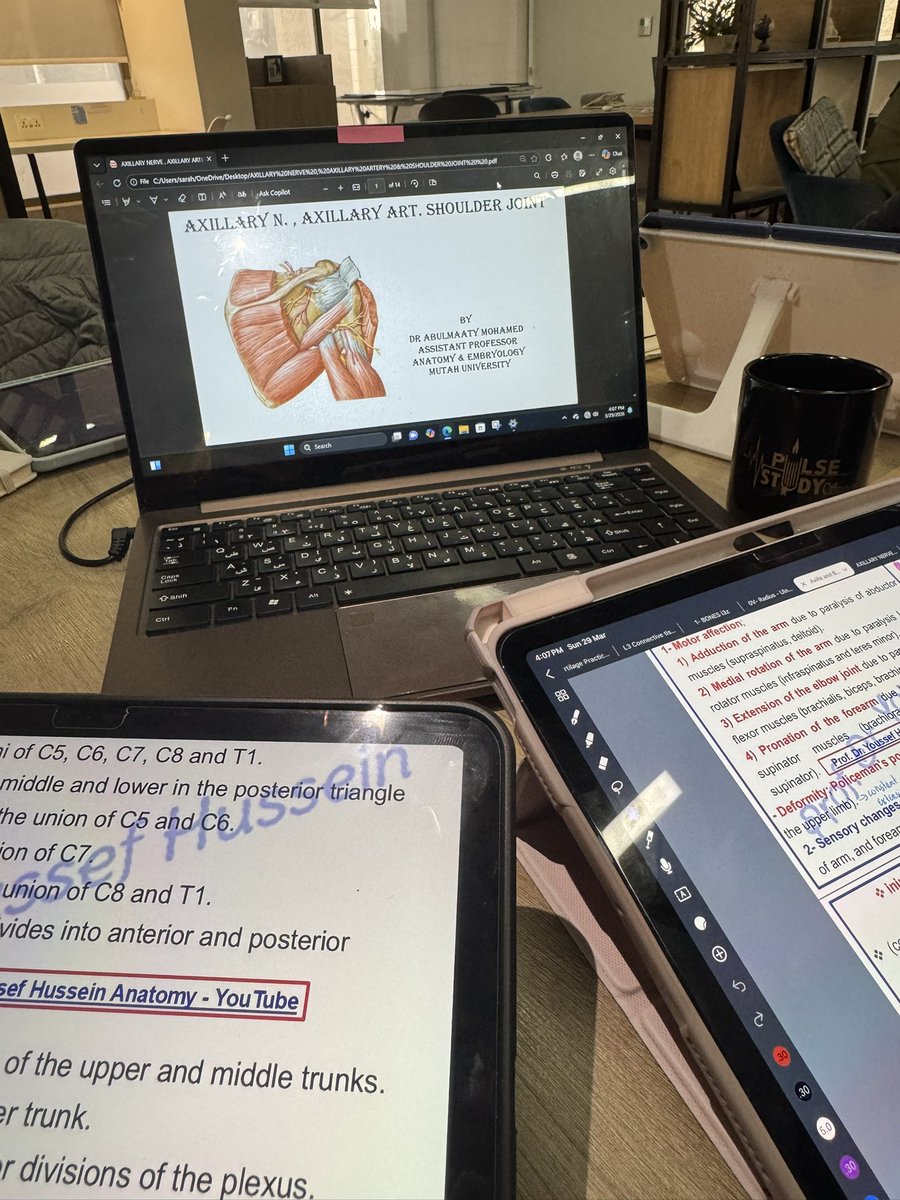 مَيار الخَطاطبة tweet media