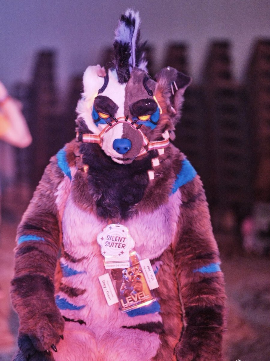 💀 Level 🔥🔜 Anthrocon tweet media