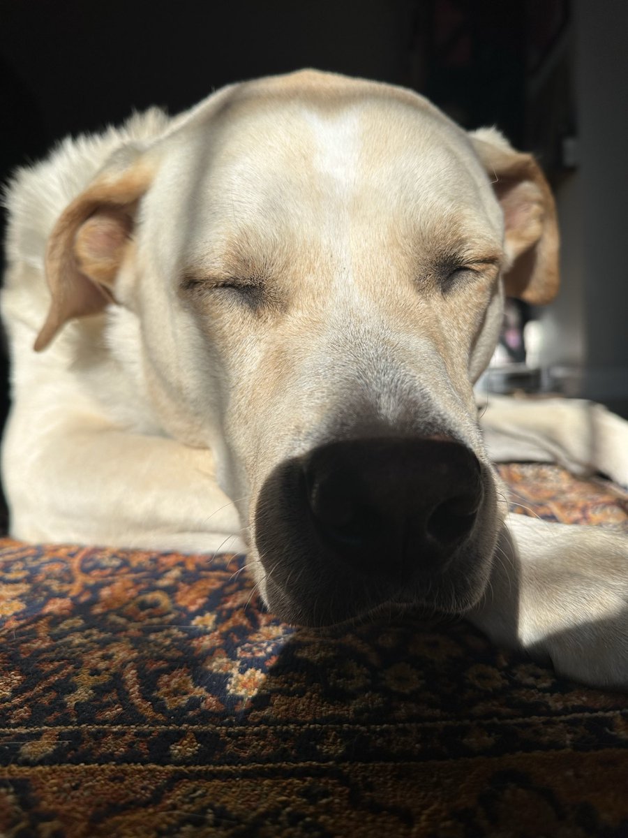 Wolfman John tweet media