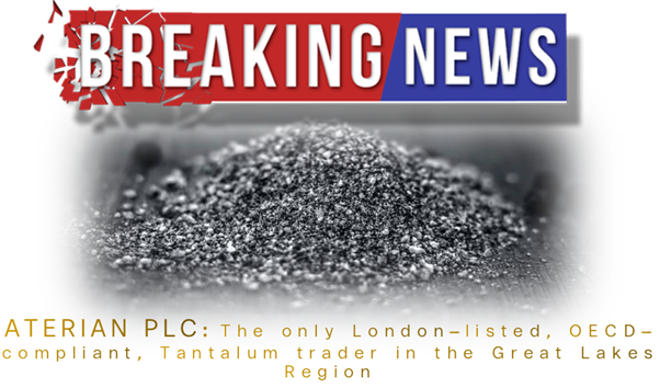 Serial Investor tweet media