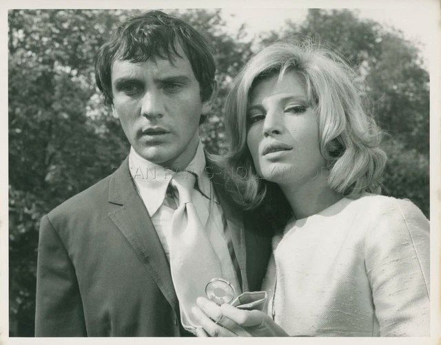 teracotachannel's tweet image. "1966. L'epoca di #ModestyBlaise."

  #MonicaVitti   #TerenceStamp   #MonicaVittiBellissimaOriginale.  

  facebook.com/photo/?fbid=10…