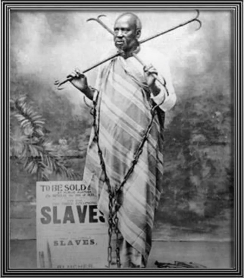 BoldBrew tweet media