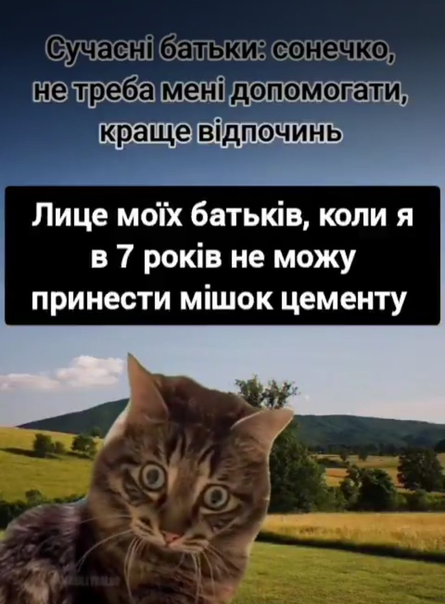 indigo Rt tweet media