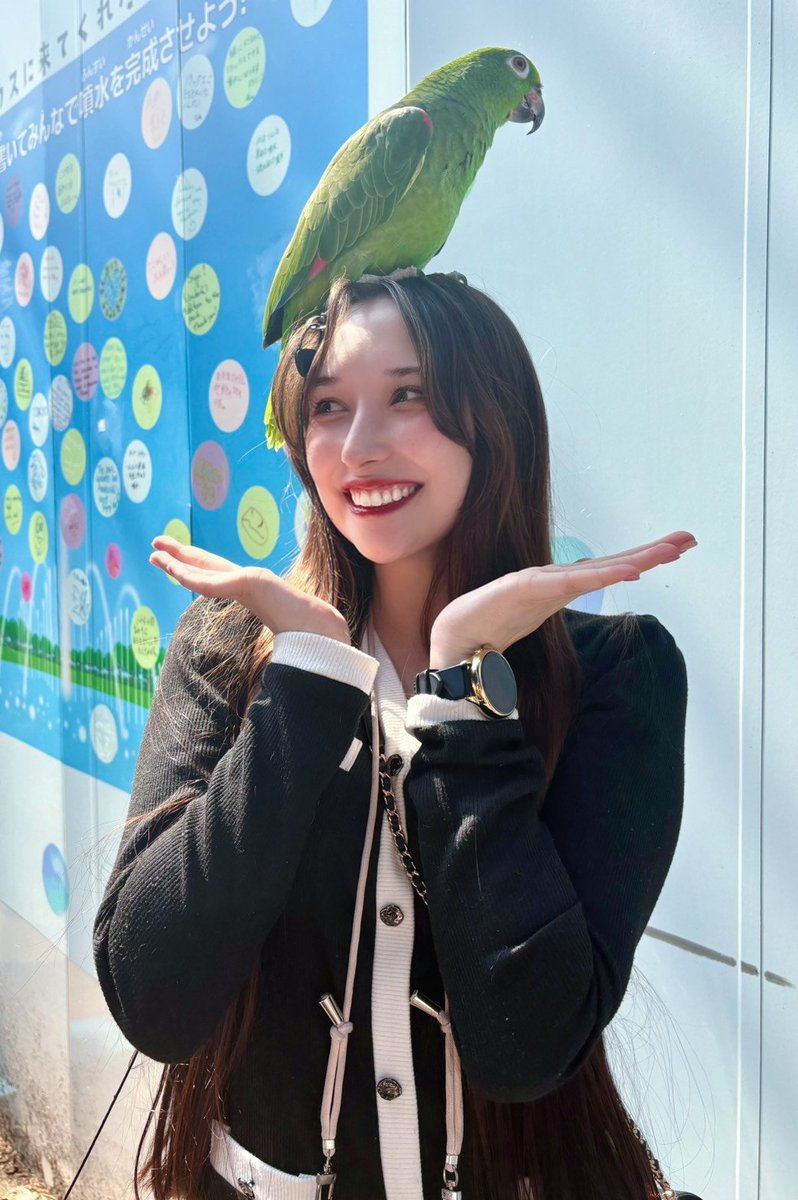 stressica tweet media