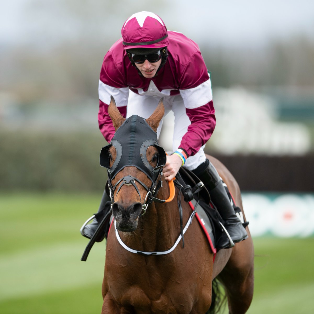 Racing Post tweet media