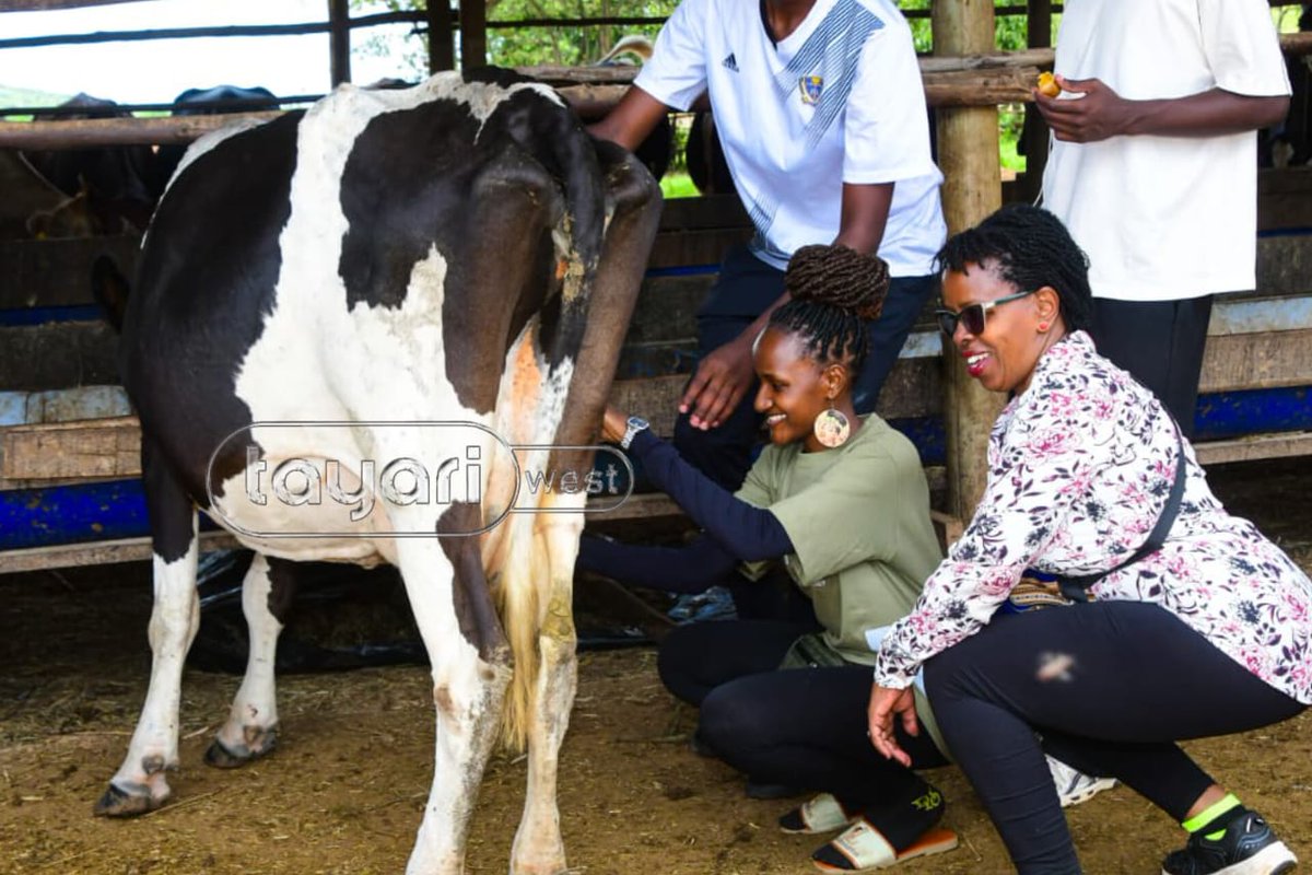 Tayari WEST TV tweet media