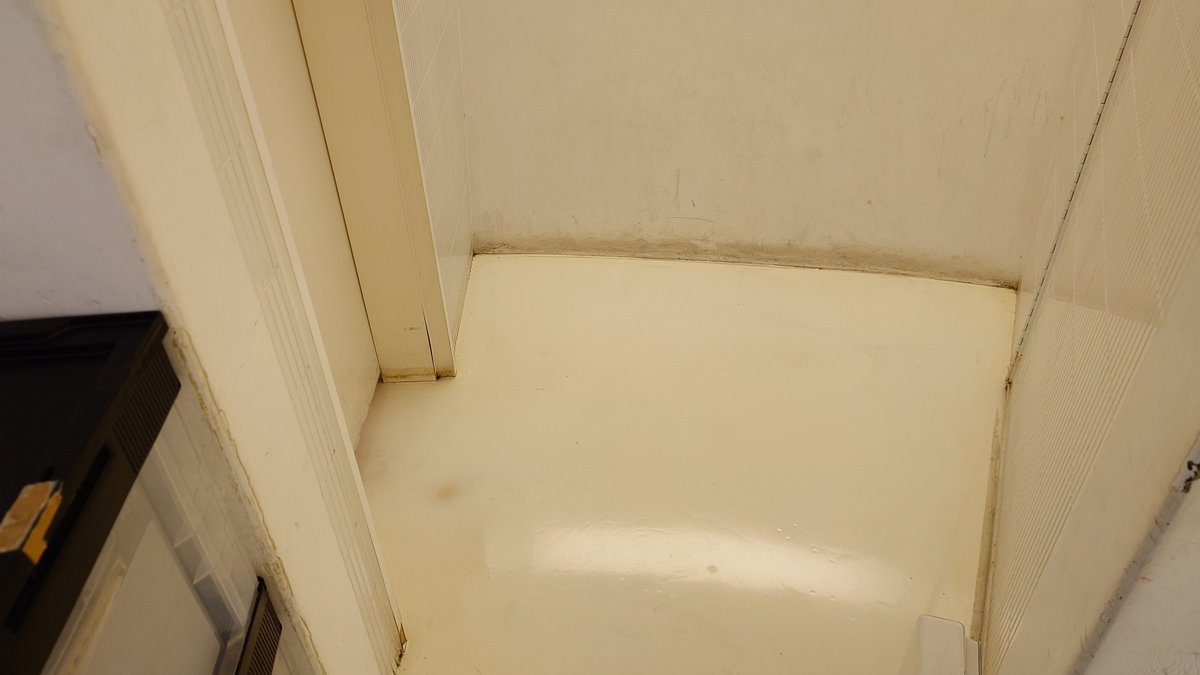 キョロ師匠🐣 tweet media