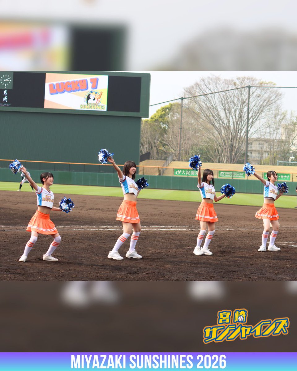 【公式】宮崎サンシャインズ tweet media