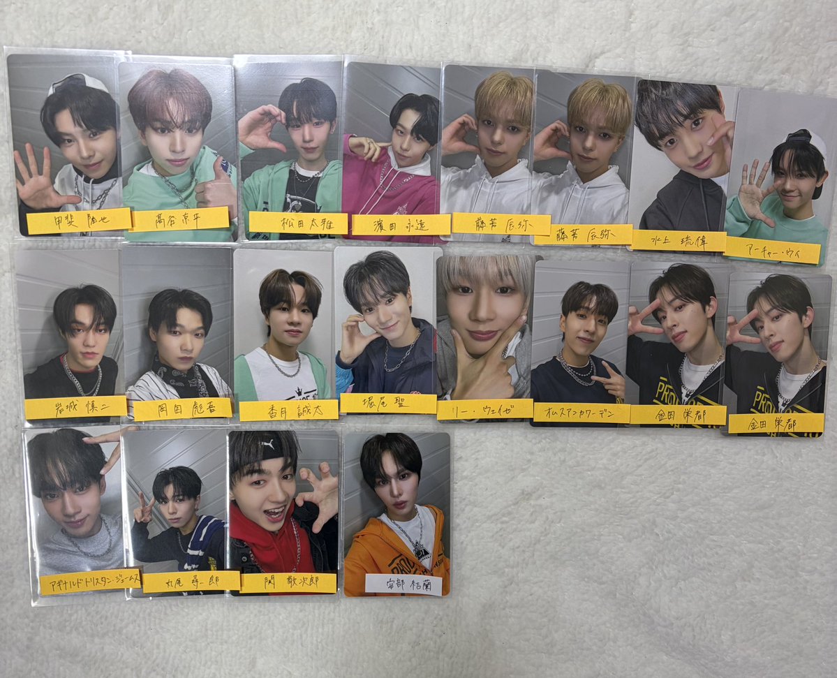 今日のわんこ tweet media