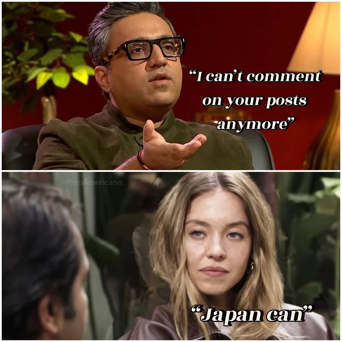 Pino Americano tweet media