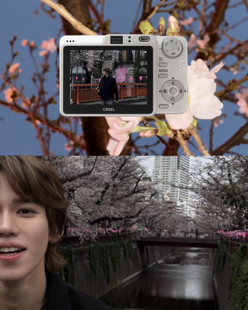 FlukeNoir tweet media