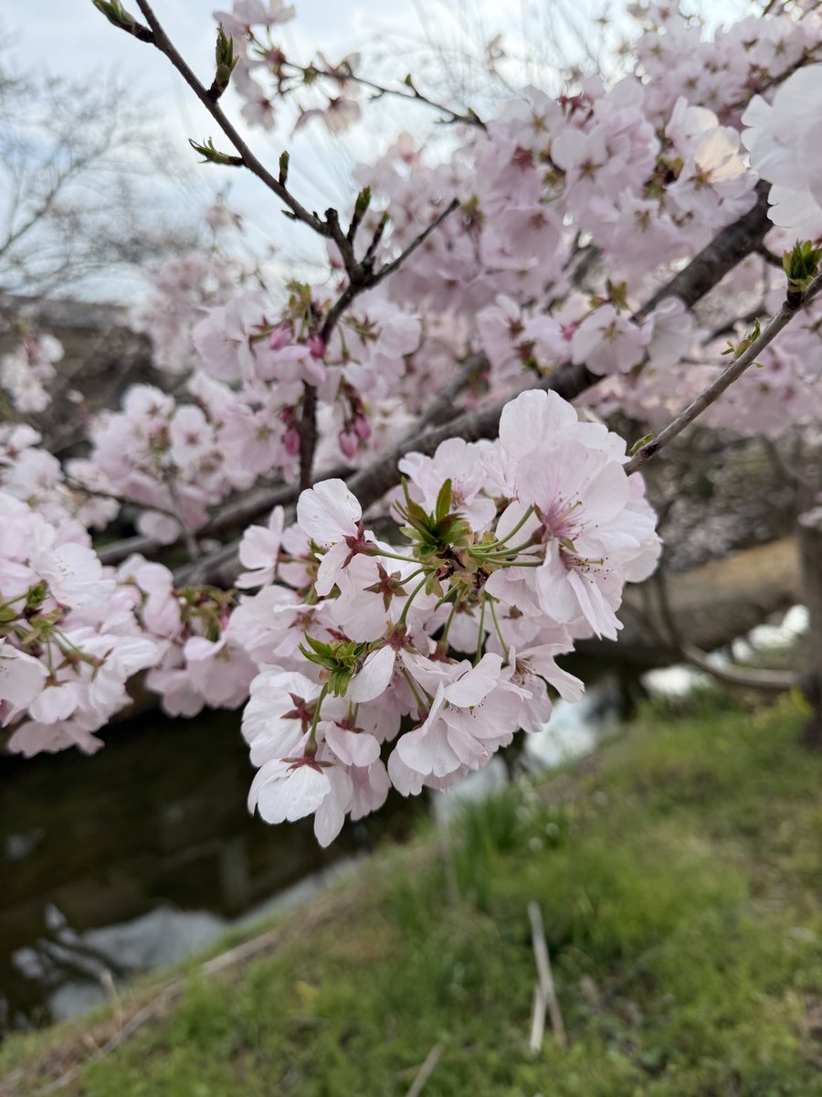 tama | 言葉とデザインのあいだで、日々を紡ぐ人。 tweet media