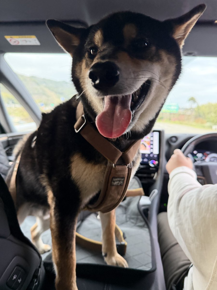 tama | 言葉とデザインのあいだで、日々を紡ぐ人。 tweet media