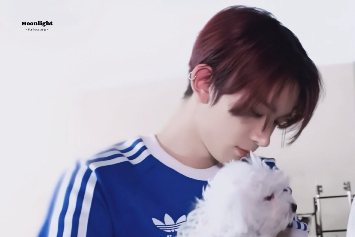 moonlight tweet media