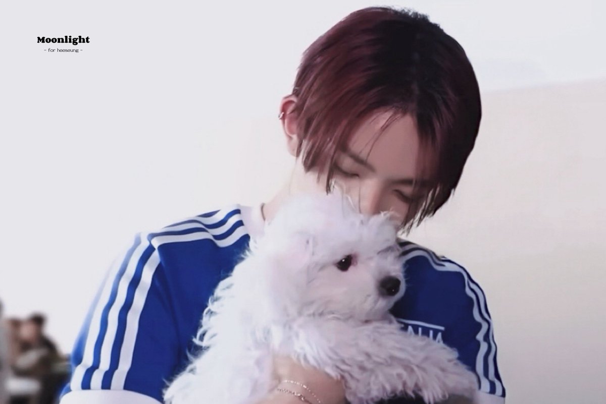 moonlight tweet media