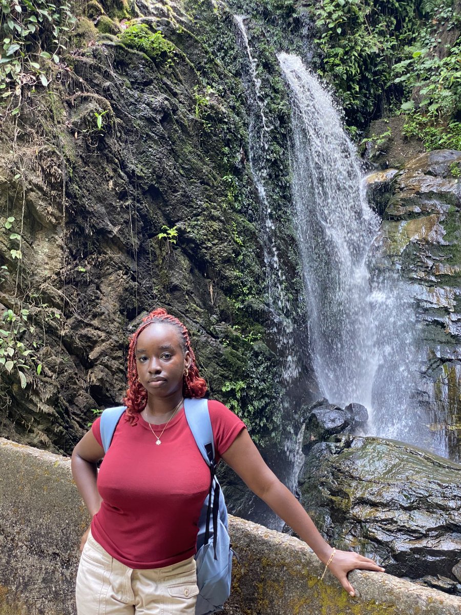 Tamunoye Brown 🥬 tweet media