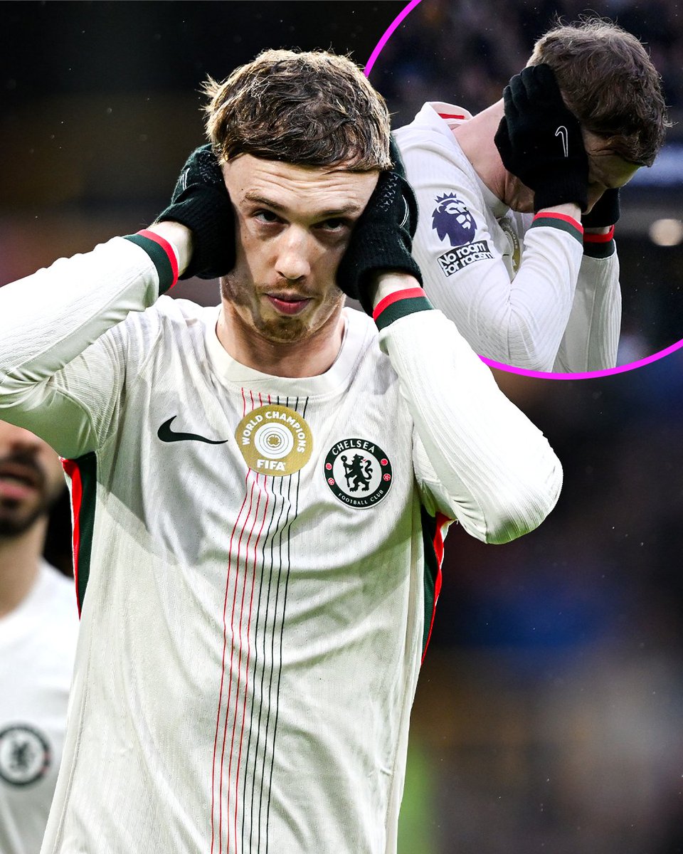 Enjoyer Fun tweet media