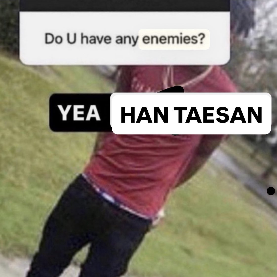 vane 🌸🐈 tweet media