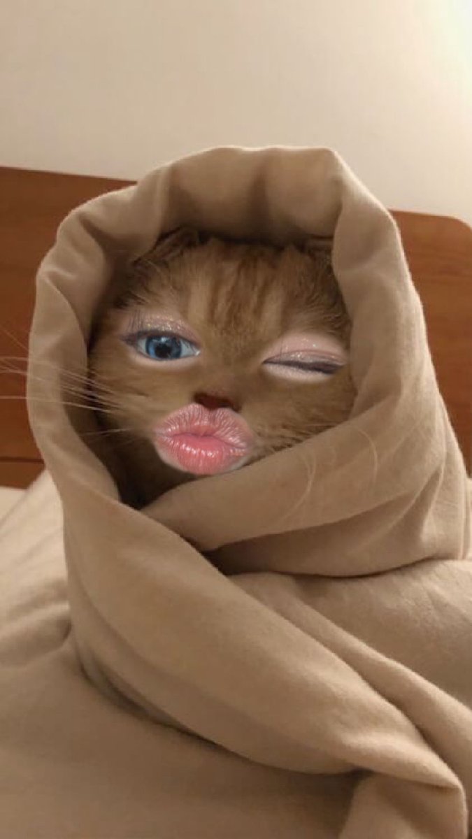 璐璐咪 tweet media