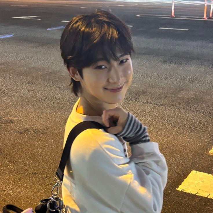 Shiemin0x tweet media