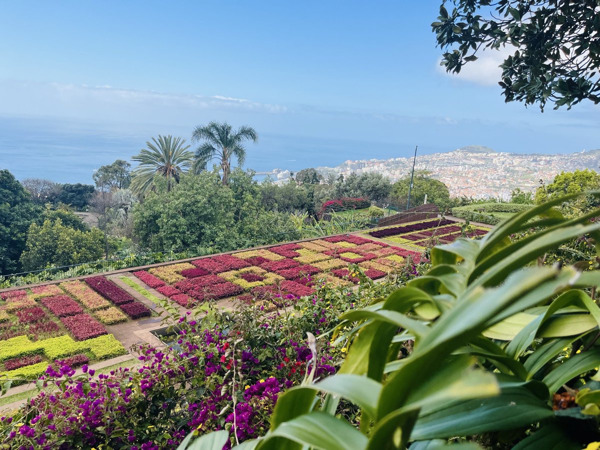 MissPitufita's tweet image. Botanischer Garten in Funchal.
War sehr schön, wenig Besucher. Es hat halt noch nicht so viel geblüht. Ich fand den Kakteen-Garten sehr beeindruckend.
#madeira