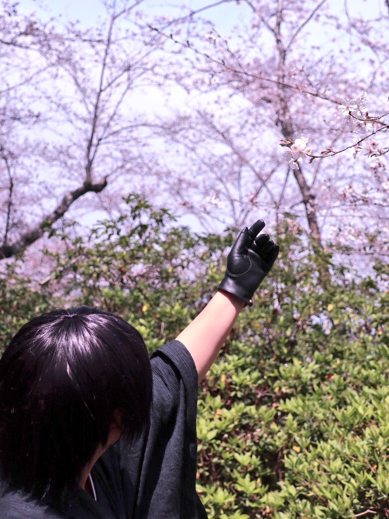 いつき　a!両日 tweet media