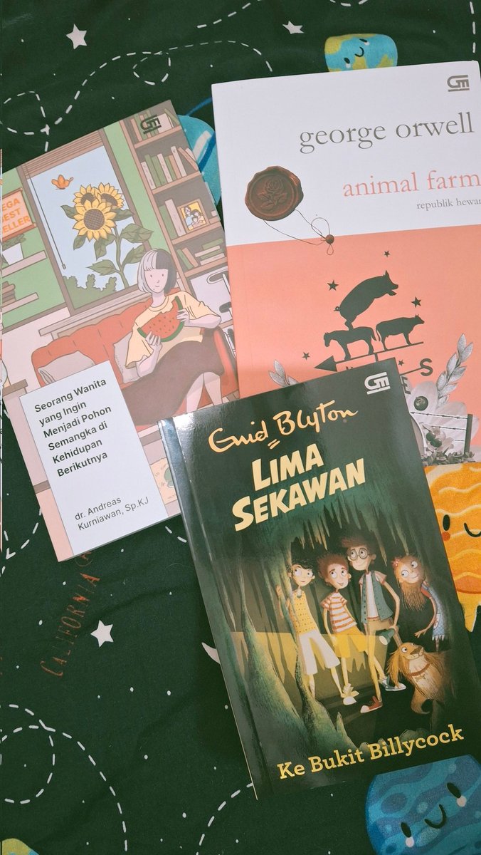 rikachan tweet media